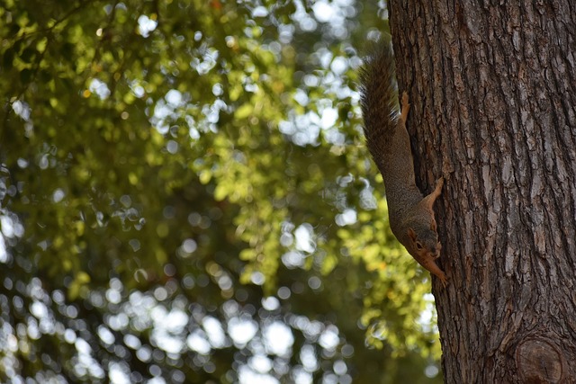 球星用表现撑起一片天