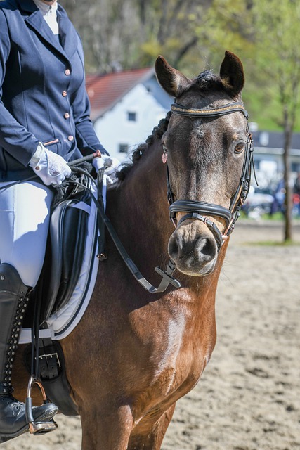 马斯切拉诺：让苏牙替补不是容易的决定，我们周中就沟通过